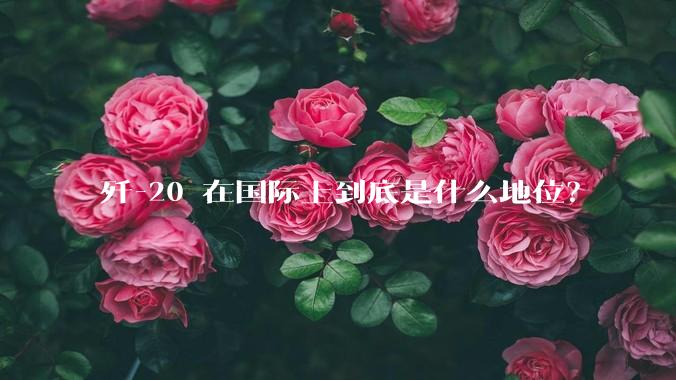 歼-20 在国际上到底是什么地位？