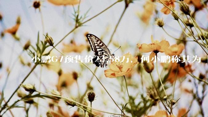 小鹏G7预售价23.58万，何小鹏称其为「全球首款L3级算力的AI汽车」，何为L3级算力？竞争力如何？