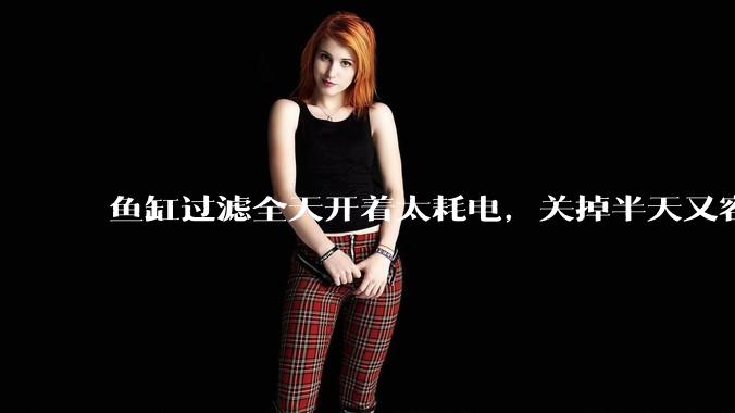 鱼缸过滤全天开着太耗电，关掉半天又容易水浑，有什么好办法？