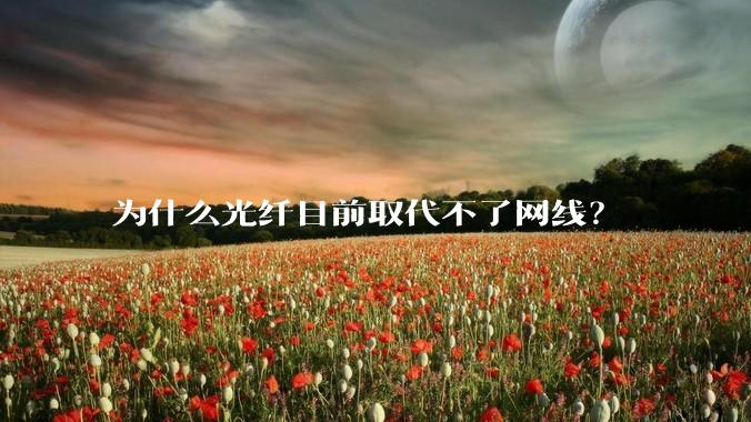 为什么光纤目前取代不了网线？