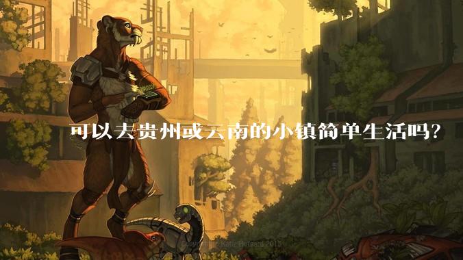 可以去贵州或云南的小镇简单生活吗？