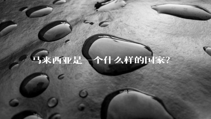 马来西亚是一个什么样的国家？