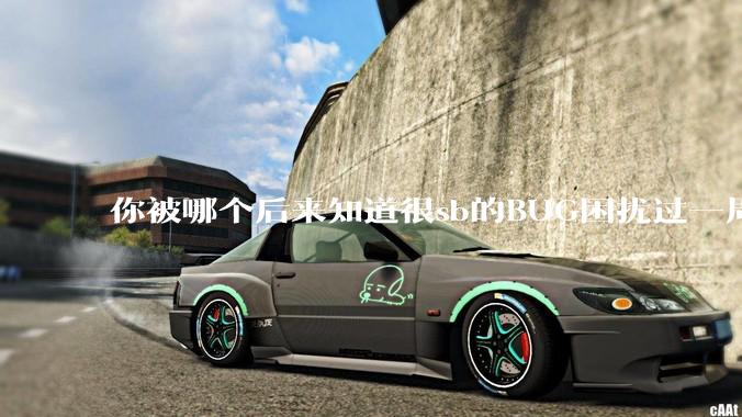 你被哪个后来知道很sb的BUG困扰过一周以上吗？