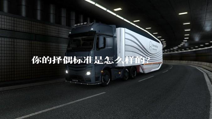 你的择偶标准是怎么样的？