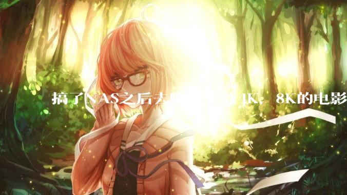 搞了NAS之后去哪里下载4K，8K的电影？