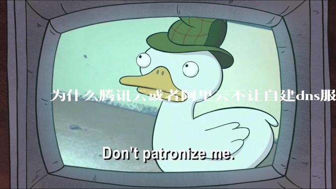 为什么腾讯云或者阿里云不让自建dns服务器?
