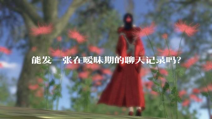 能发一张在暧昧期的聊天记录吗？