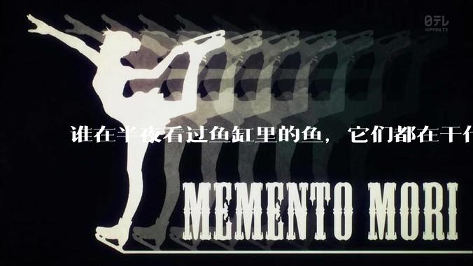 谁在半夜看过鱼缸里的鱼，它们都在干什么？