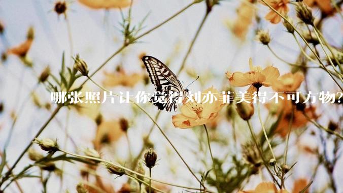 哪张照片让你觉得刘亦菲美得不可方物？