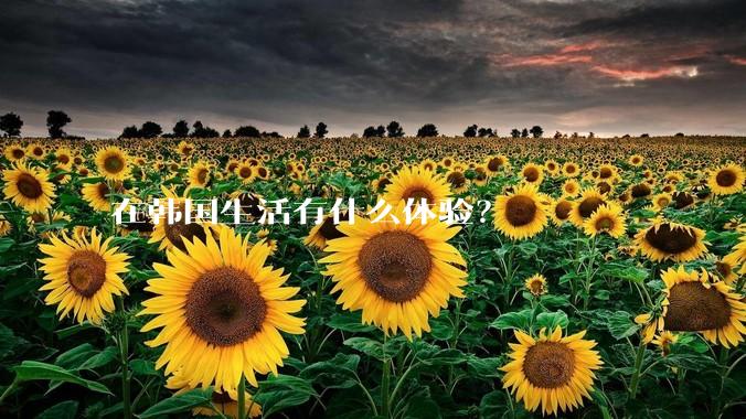 在韩国生活有什么体验？