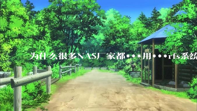 为什么很多NAS厂家都***用***rfs系统，而不是更稳定的zfs?