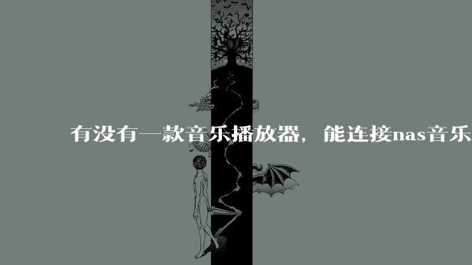 有没有一款音乐播放器，能连接nas音乐，创建音乐库，自动匹配歌词封面等等？类似infuse的概念呢？
