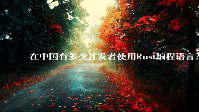 在中国有多少开发者使用Rust编程语言？