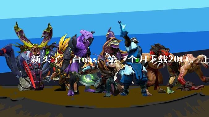 新买了一台nas，第一个月下载20t+，上传5+，不会被网警盯上吧?