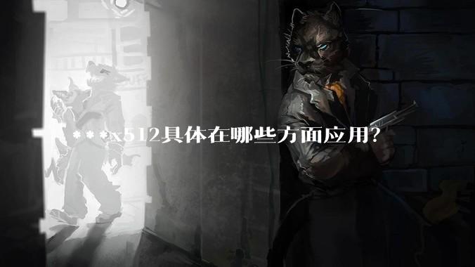 ***x512具体在哪些方面应用？