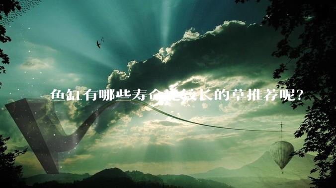 鱼缸有哪些寿命比较长的草推荐呢？