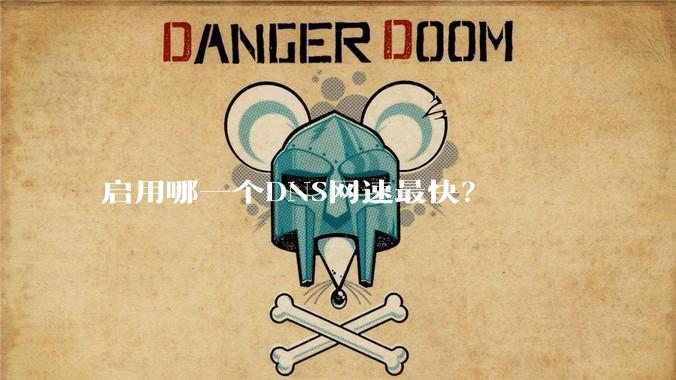 启用哪一个DNS网速最快？