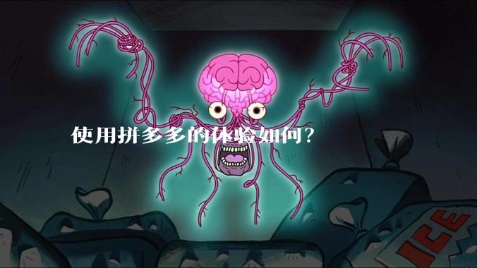 使用拼多多的体验如何？