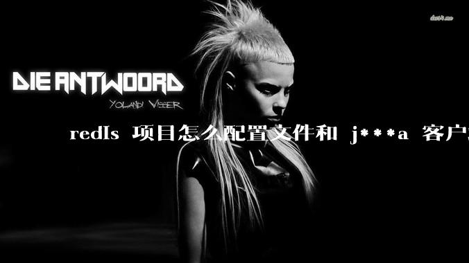 redis 项目怎么配置文件和 j***a 客户端连接？