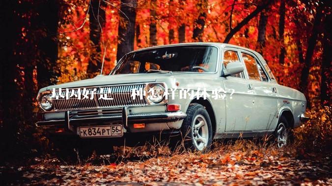 基因好是一种怎样的体验？